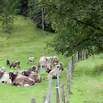 Alluring With Swimming Pool In Tyrol Daire
