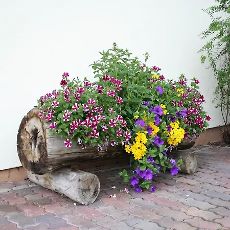 Daire Alluring With Swimming Pool In Tyrol *