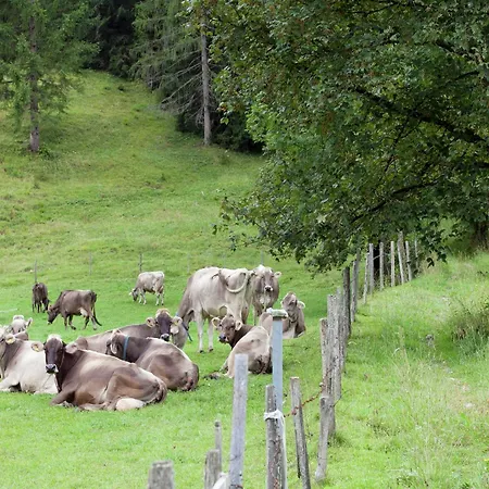 Alluring With Swimming Pool In Tyrol * 瓦德林