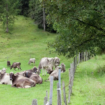 아파트 Alluring With Swimming Pool In Tyrol *