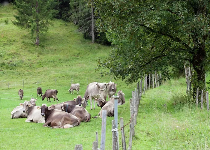 Apartman Alluring With Swimming Pool In Tyrol *